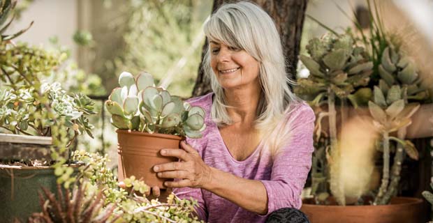 Sustainable Desert Gardening