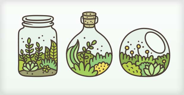 Full STEAM Ahead: Terrific Terrariums