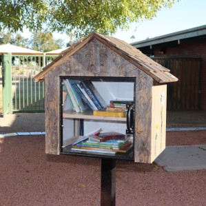 small house shaped box on pole with books on 2 shelves